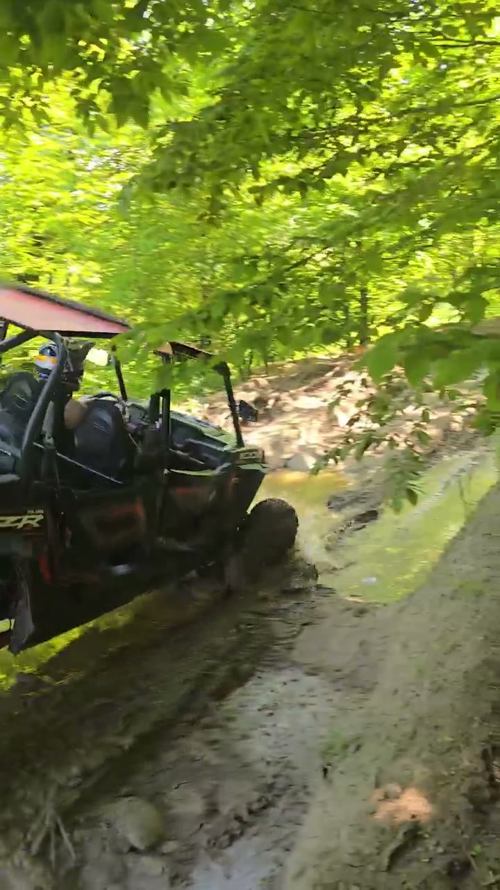 Buggy in action