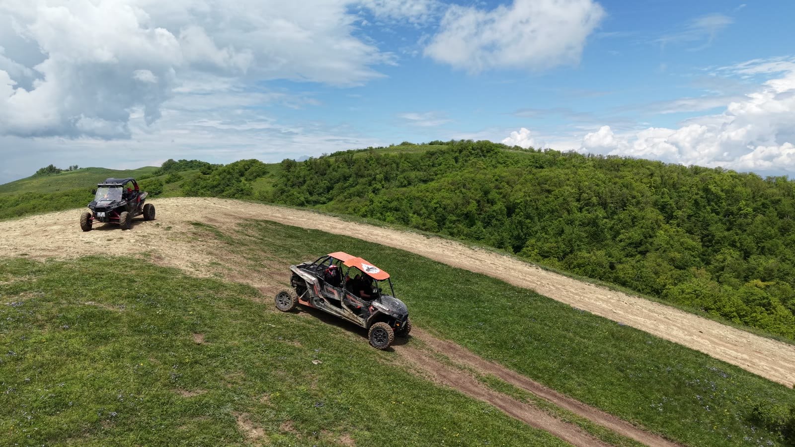 Buggy on a forest trail